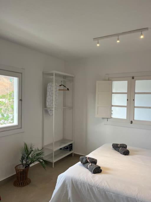 Casa Plaza 2 Apartment Vega de Rio de Palmas ภายนอก รูปภาพ